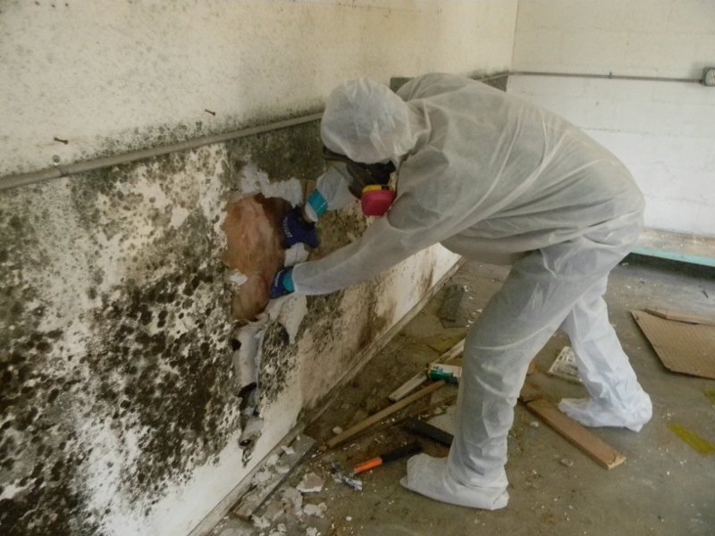 Mold Inspection in Coto de Caza, California (9642)
