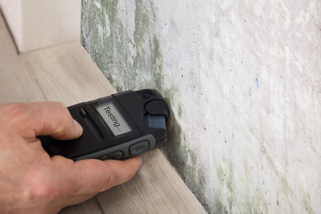 Mold Inspection in Huntington Beach: Complete Guide to Ensuring a Safe and Healthy Home