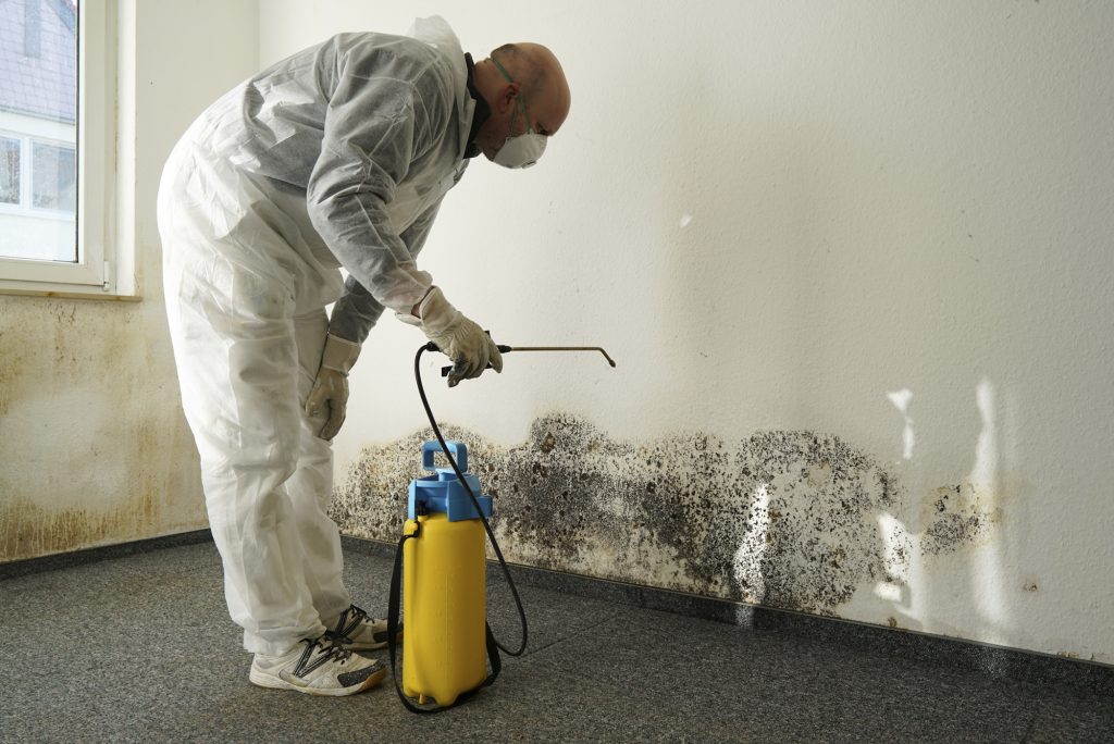 Mold Inspection in Costa Mesa, California (3458)