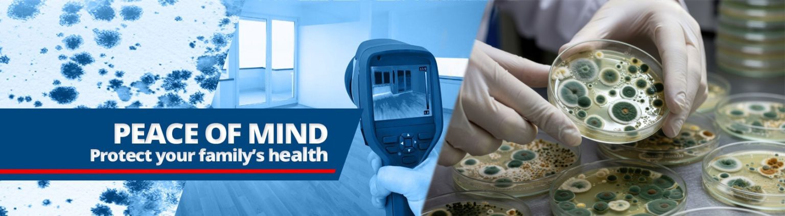 Rancho Cucamonga Mold Inspection | American Mold Inspections